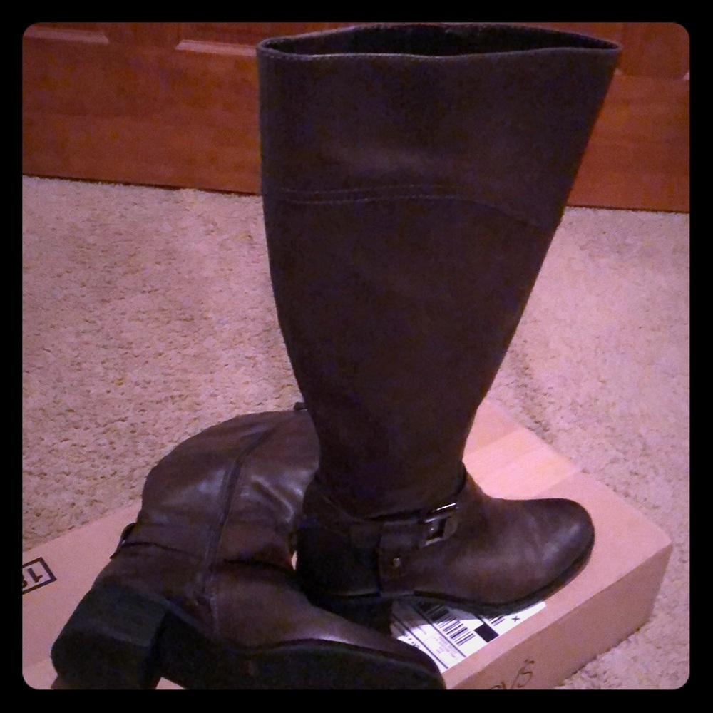 Tall Boot Grayish Brown Color By Vince Camuto.
